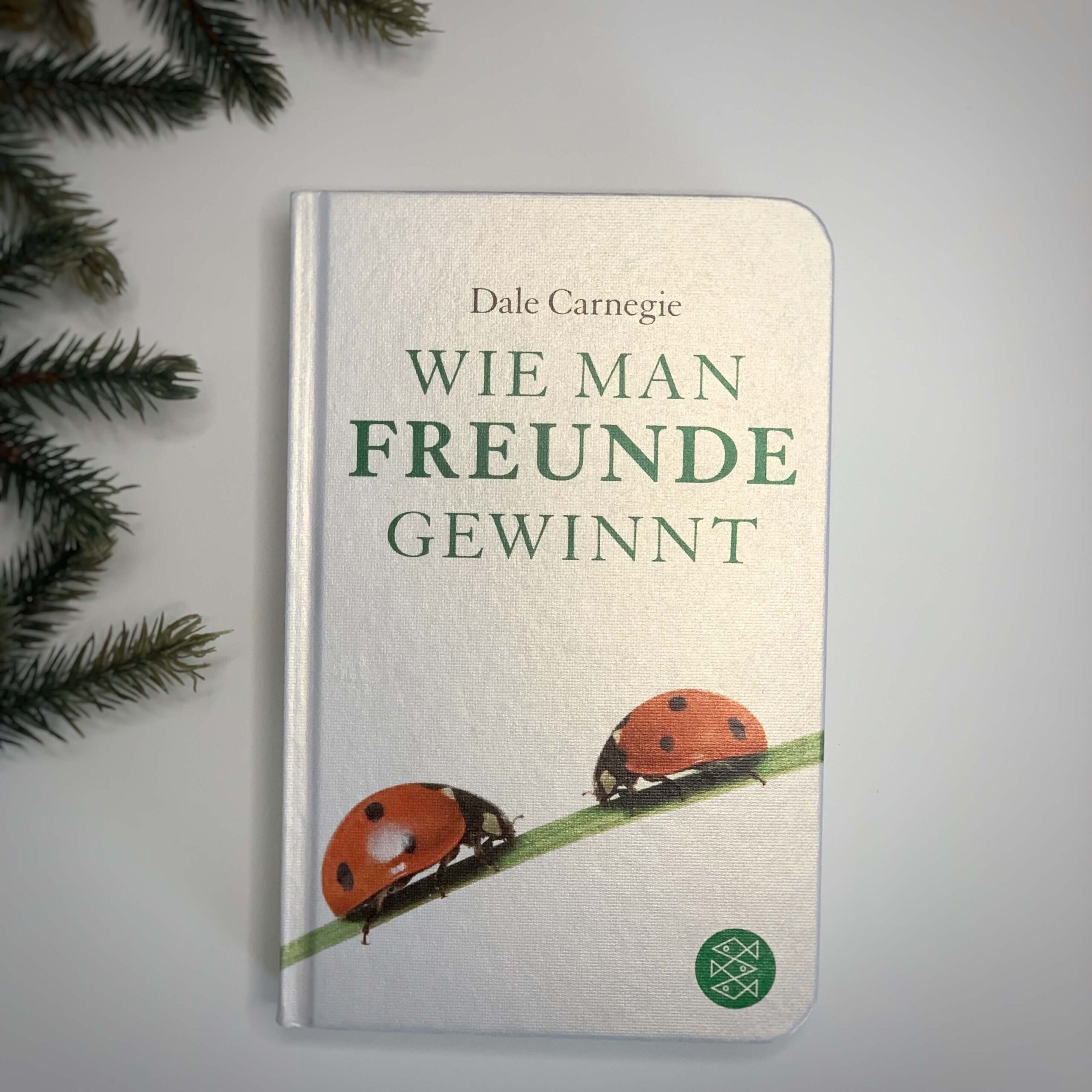 Buch Wie Man Freunde Gewinnt Tipps Empfehlungen Sei Gesuender